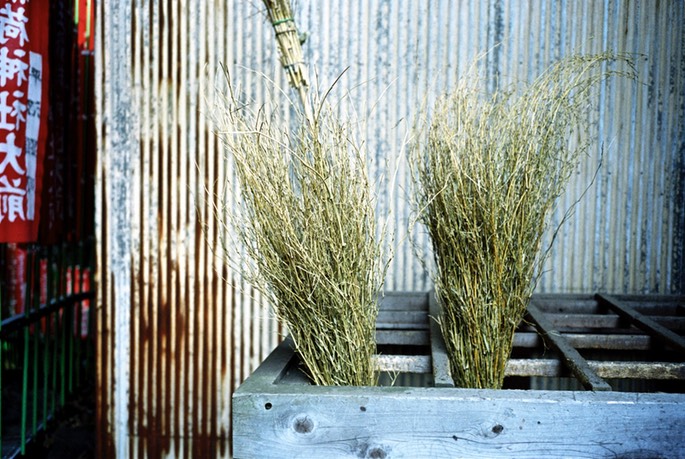 35ti Portra400 044.jpg