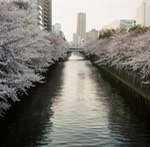 Blog 20150404-10.jpg