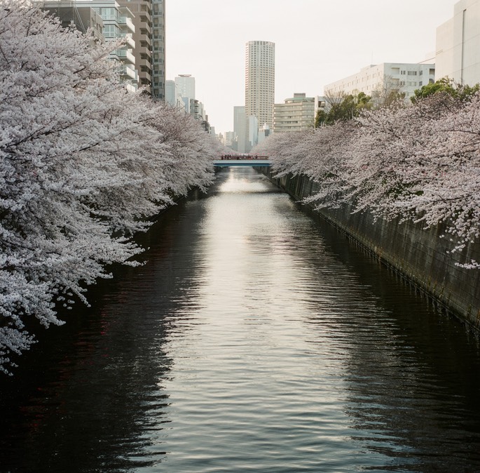 Blog 20150404-10.jpg