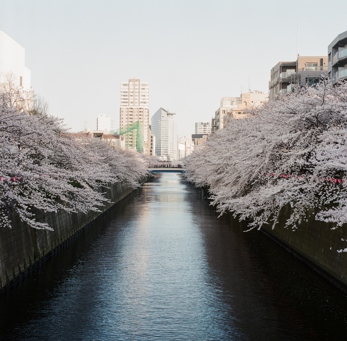 Blog 20150404-11.jpg