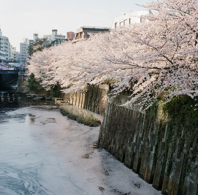 Blog 20150404-13.jpg