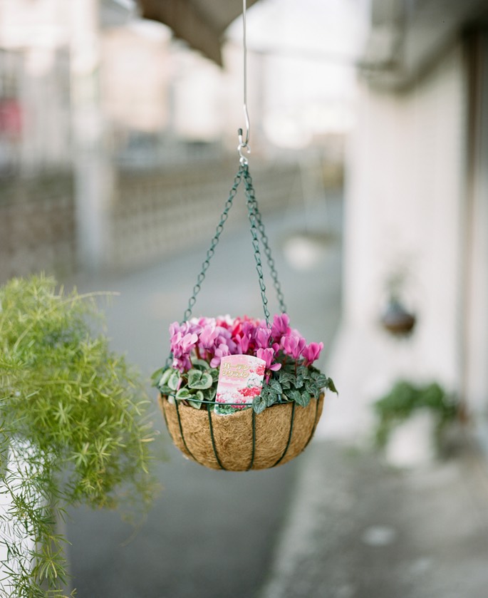 Blog 20150404-13.jpg