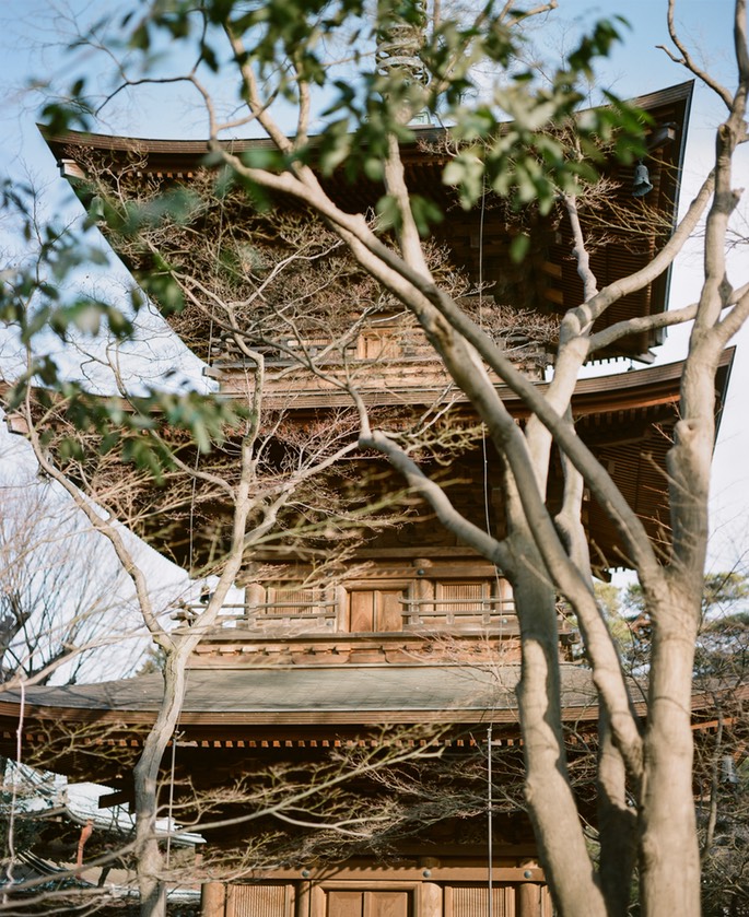 Blog 20150404-17.jpg