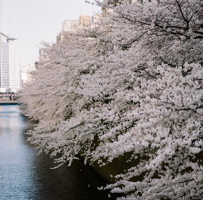 Blog 20150404-2.jpg