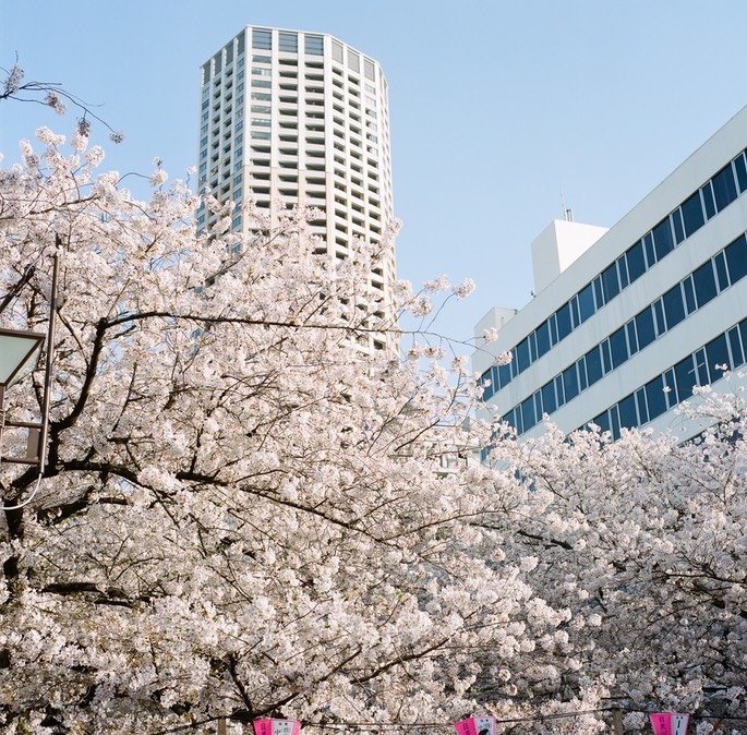 Blog 20150404-3.jpg