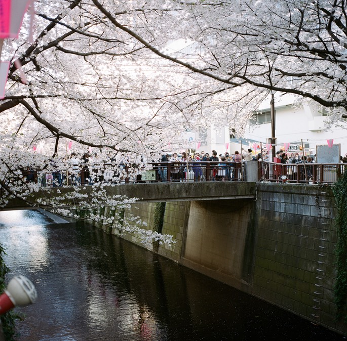 Blog 20150404-4.jpg