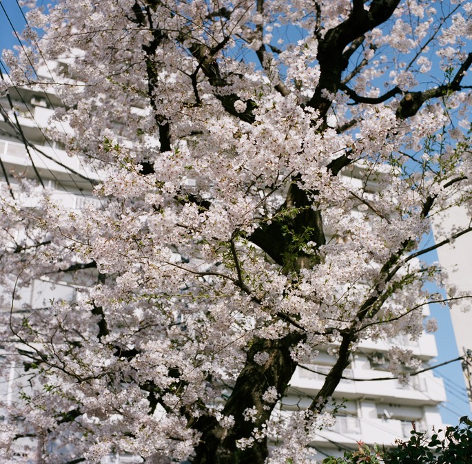 Blog 20150404-5.jpg