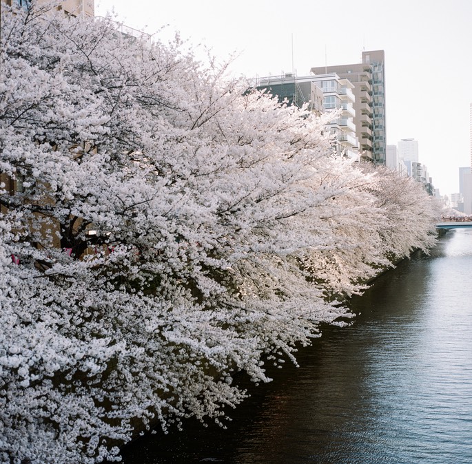 Blog 20150404-6.jpg
