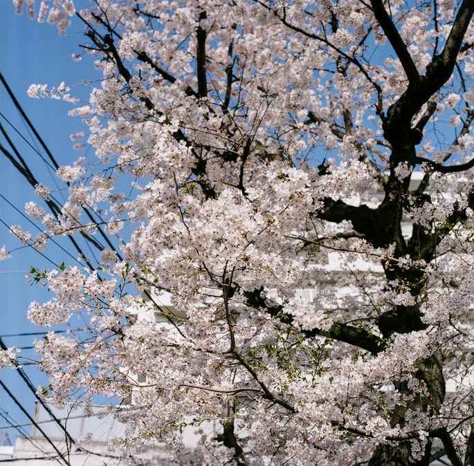 Blog 20150404-7.jpg