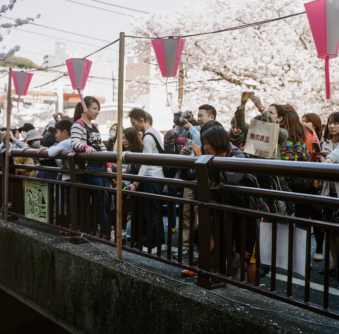 Blog 20150404-8.jpg