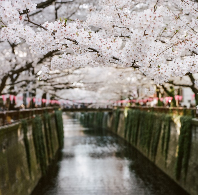 Blog 20150404-9.jpg