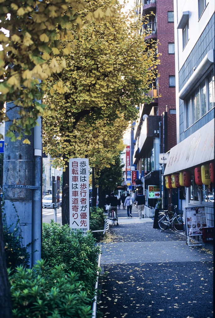 Blog-5.jpg