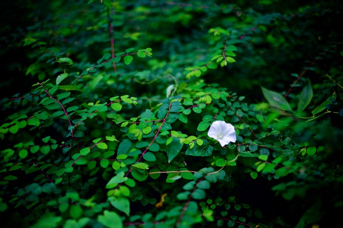 DSCF0269.jpg