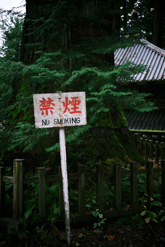 DSCF0484.jpg