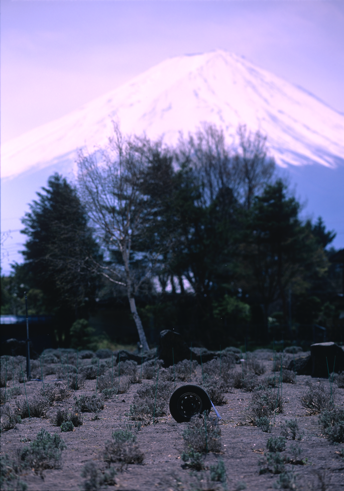 KawaguchiVelvia50M645 001.tif
