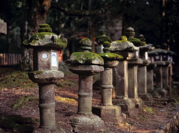 Mamiya645-069201001238