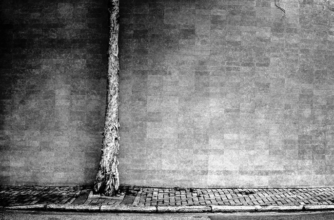 Nikon Scan 1502011.jpg