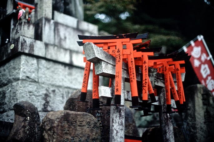 Nikon Scan 2502011.jpg