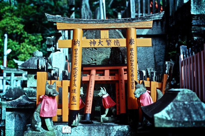 Nikon Scan 2592011.jpg