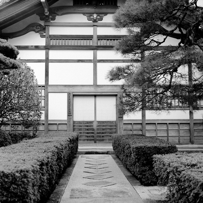 Nikon Scan 3802011