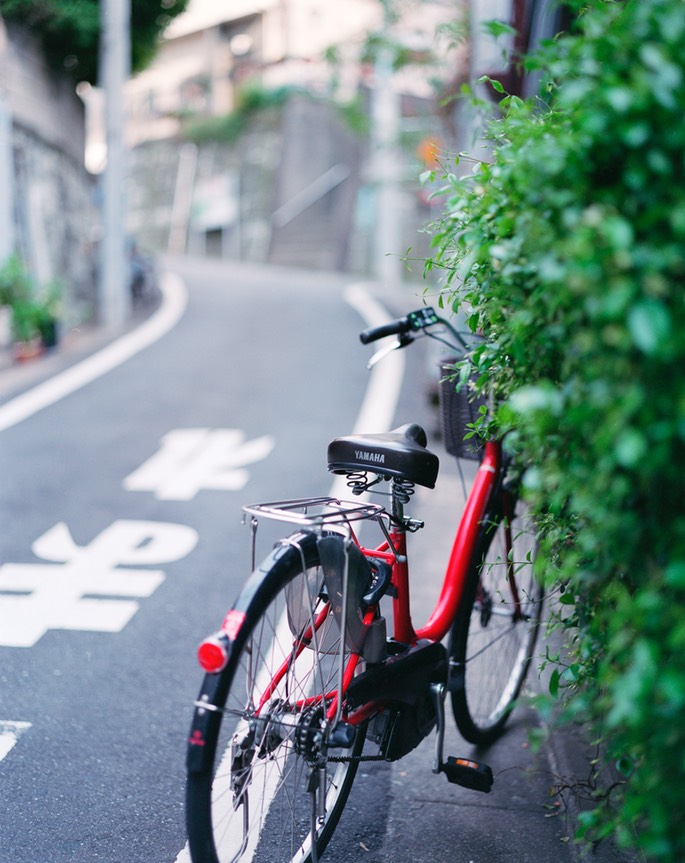 Pentax67 PRO400N 006.jpg