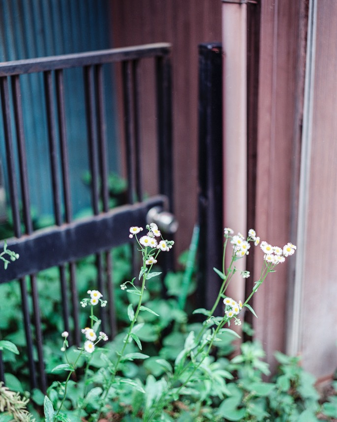 Pentax67 PRO400N 034.jpg