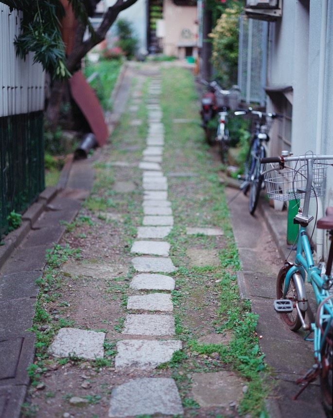 Pentax67 PRO400N 037.jpg