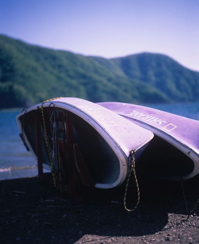 Pentax67 Velvia50 021.jpg