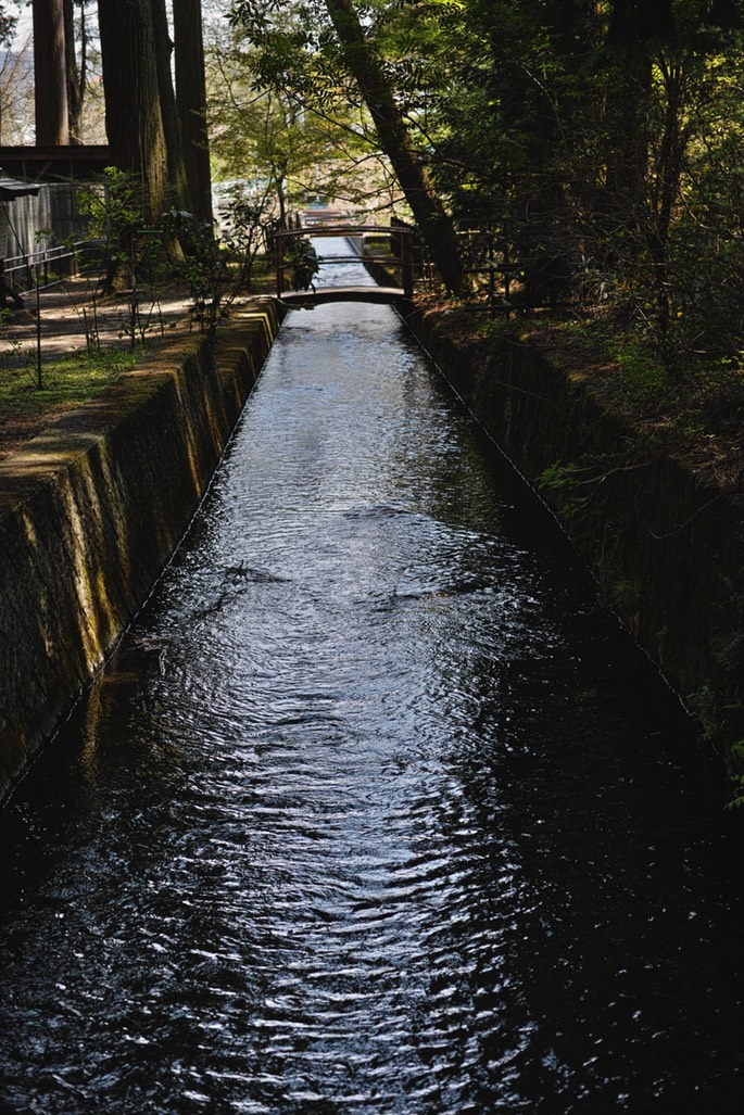 SDIM0083.jpg
