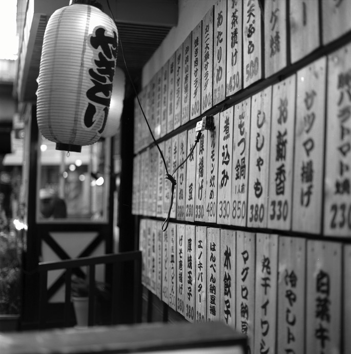 V500 ACROS 100 003.jpg