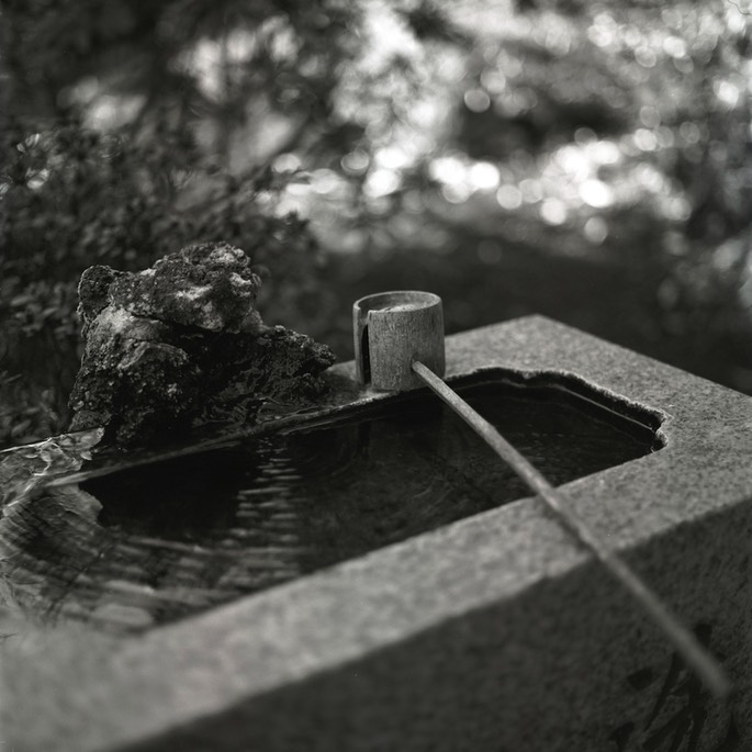 V500 Ilford Delta 001.jpg