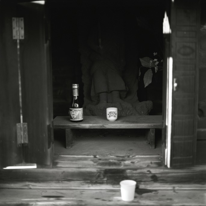 V500 Ilford Delta 003.jpg