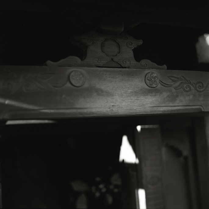 V500 Ilford Delta 004.jpg