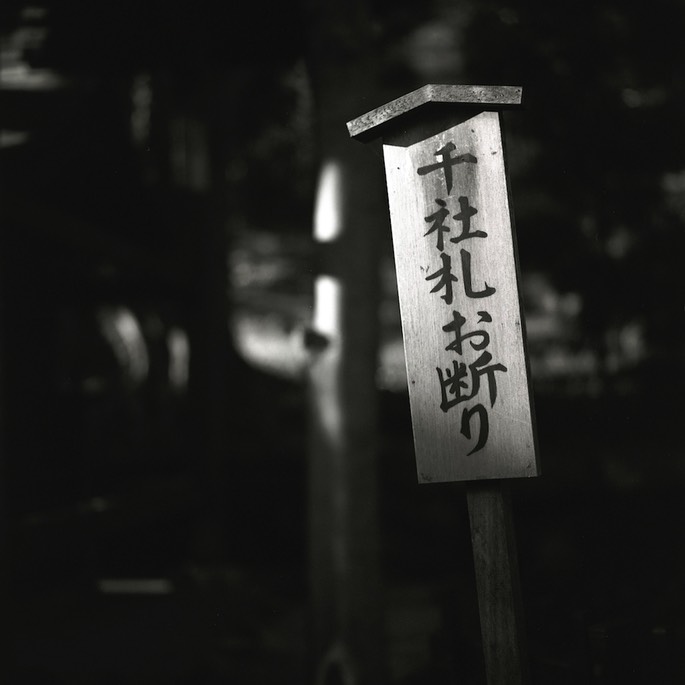 V500 Ilford Delta 005.jpg