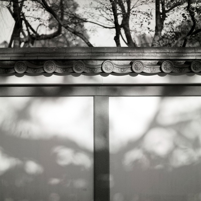V500 Ilford Delta 009.jpg