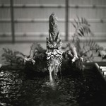 V500 Ilford Delta 010.jpg