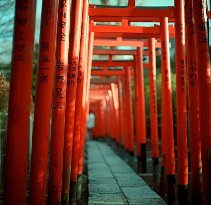 V500 Portra160VC Scan-140204-0005.jpg