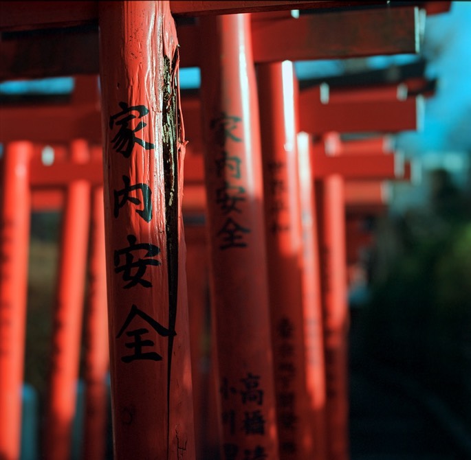 V500 Portra160VC Scan-140204-0004.jpg