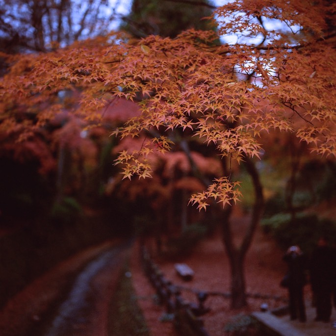 V500 Portra400VC 103.jpg