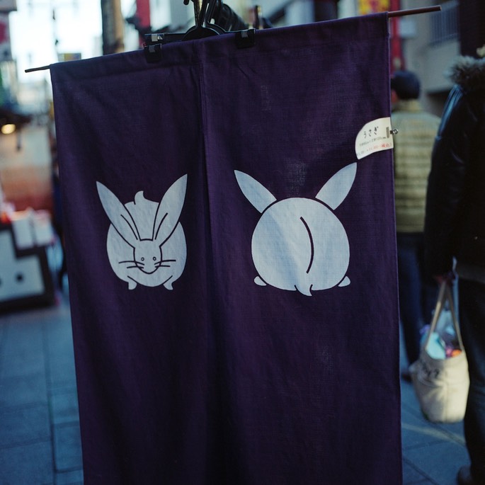 V500 PRO160C 004.jpg