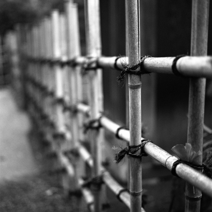 V500 TMAX 400 Scan-140205-0004.jpg