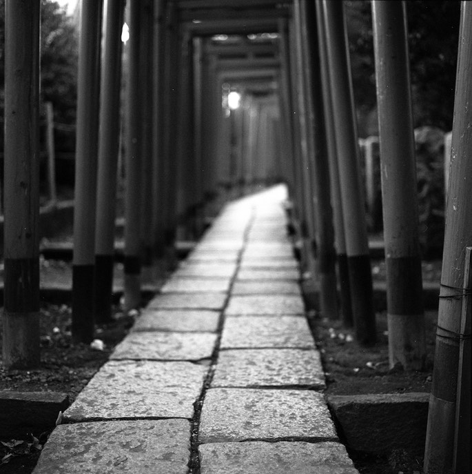 V500 TMAX 400 Scan-140205-0006.jpg