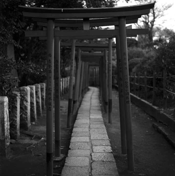 V500 TMAX 400 Scan-140206-0006.jpg