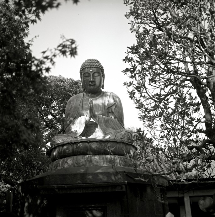 V500CM ACROS 009.jpg
