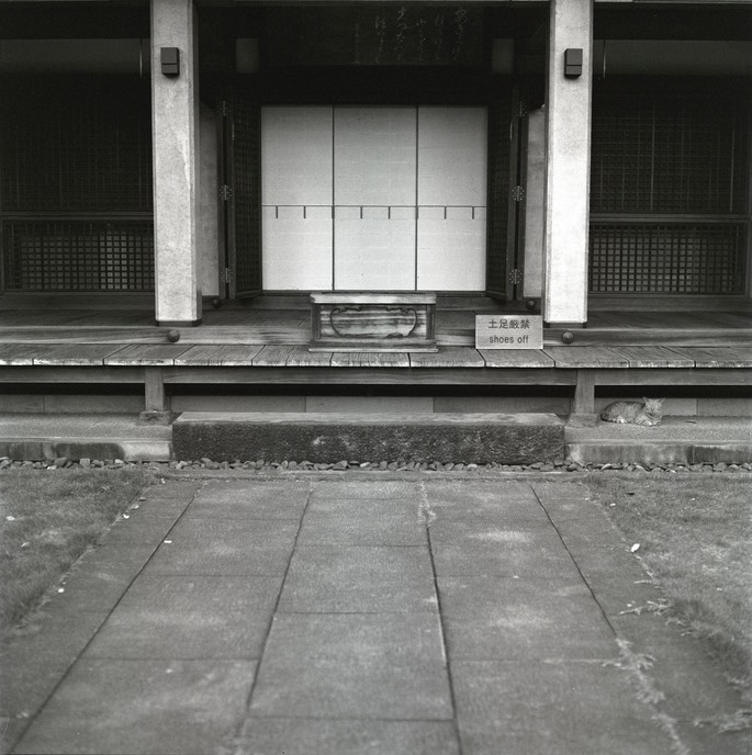 V500CM TMAX 400010.jpg