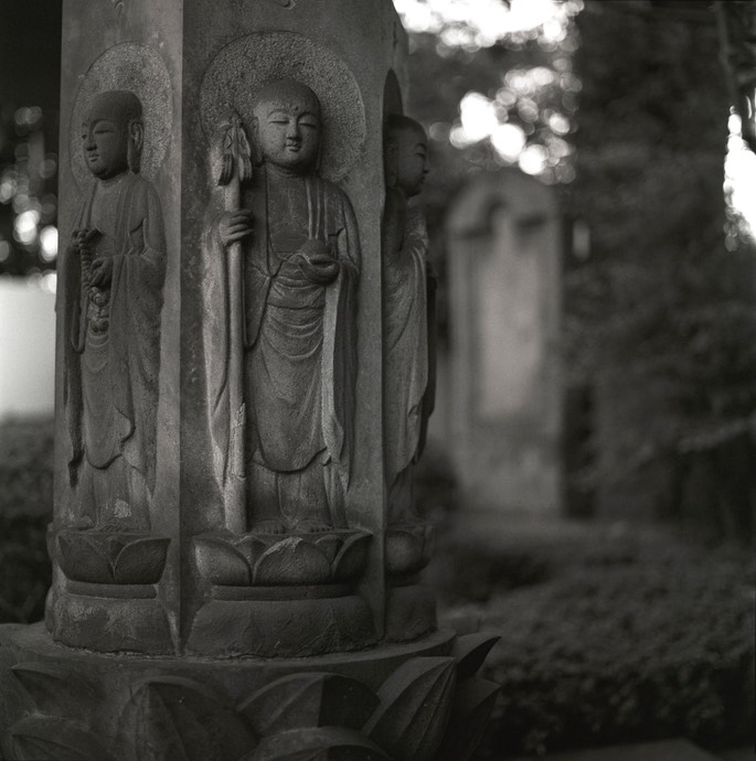 V500CM TMAX 400011.jpg