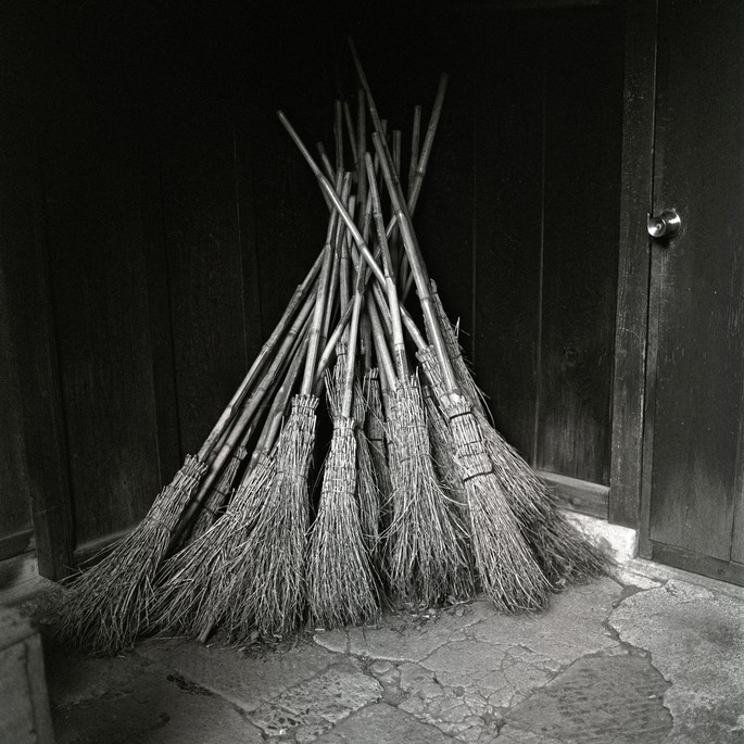 V500CM TMAX 400023.jpg