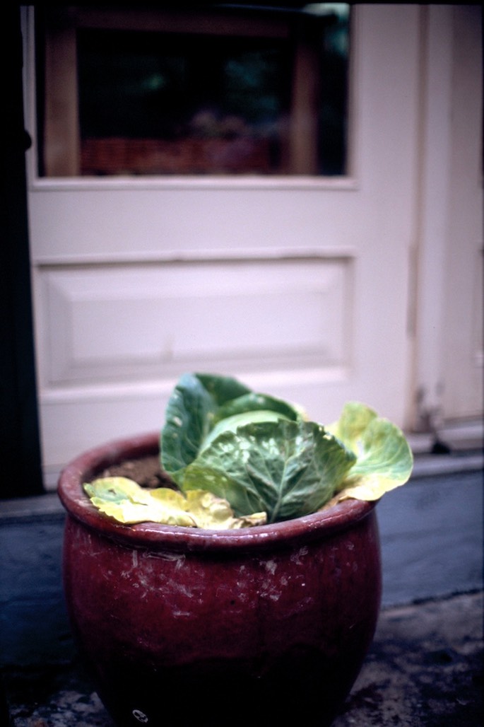 VuescanScan-120422-0012.jpg