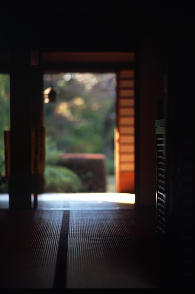 Canon EOS1V Velvia Scan-121115-0002