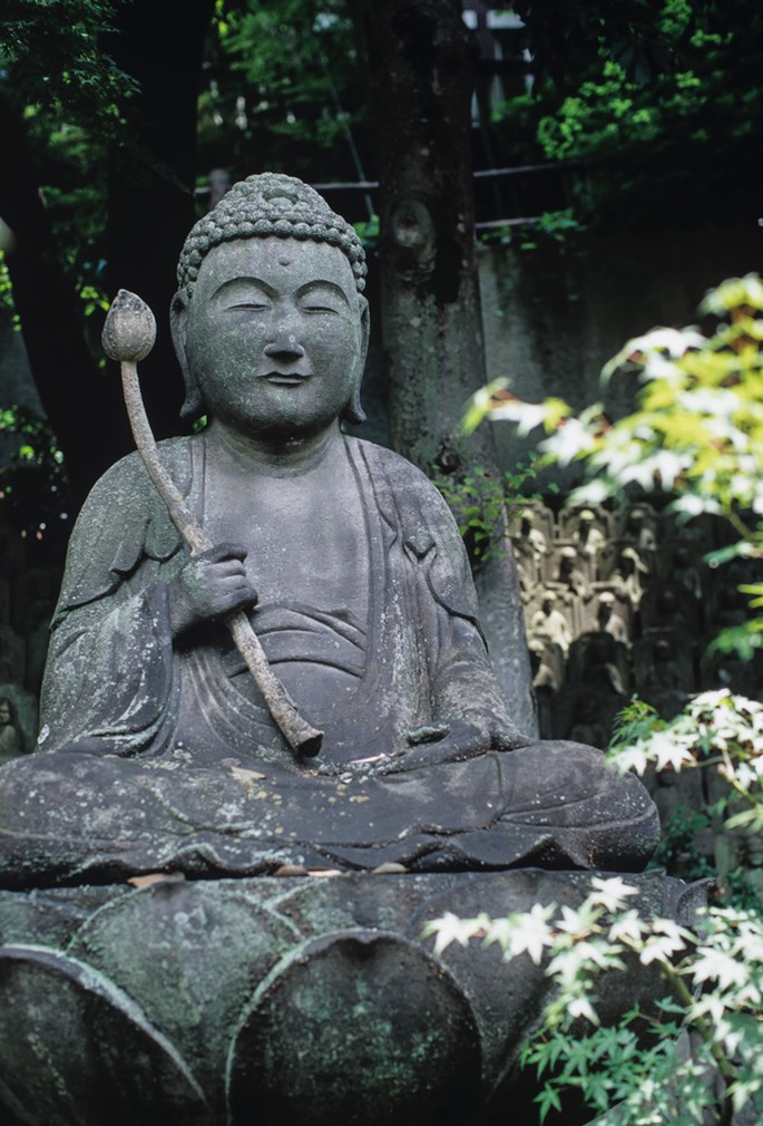 EOS1V E100VS 046.jpg